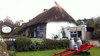 Bed & Breakfast Berkeley